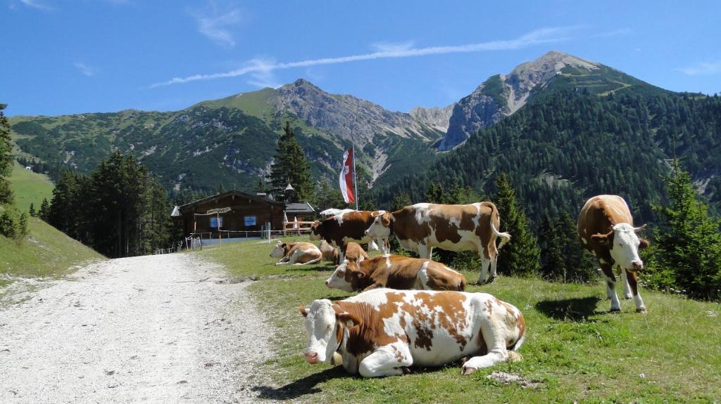 Hotel Moesererhof Mösern Buitenkant foto